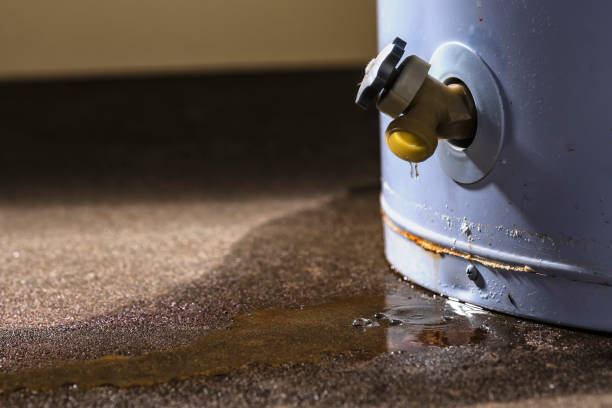Best Carpet water damage restoration  in North Utica, IL