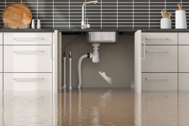 Best Water damage cleanup near me  in North Utica, IL